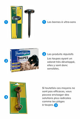 Comment entretenir un gazon