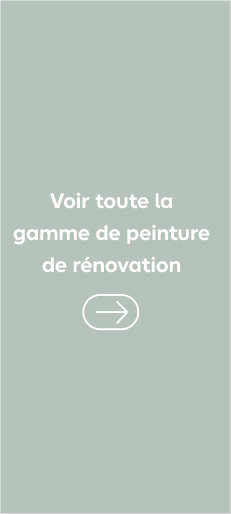 Voir toute la gamme de peinture de rénovation