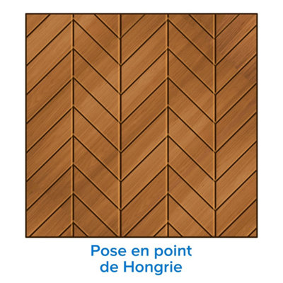 La pose en point de Hongrie​