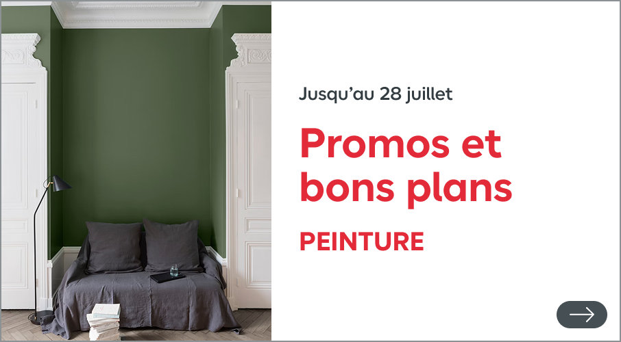 Promos et bon plans peinture