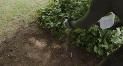 Comment installer un gazon en rouleau ?