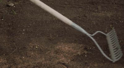 Comment installer un gazon en rouleau ?