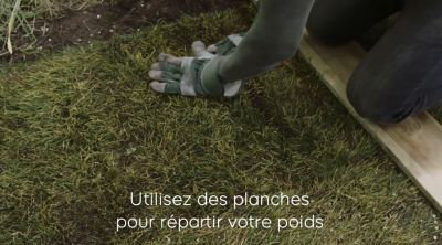 Comment installer un gazon en rouleau ?