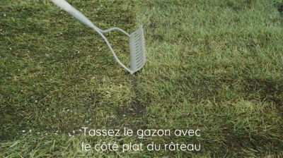 Comment installer un gazon en rouleau ?