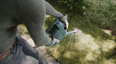 Comment installer un gazon en rouleau ?