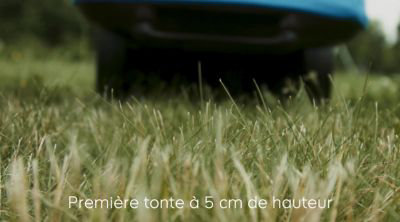 Comment installer un gazon en rouleau ?