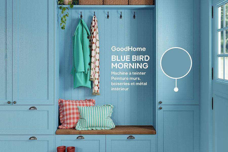 Blue bird morning