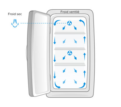  Le froid ventilé​