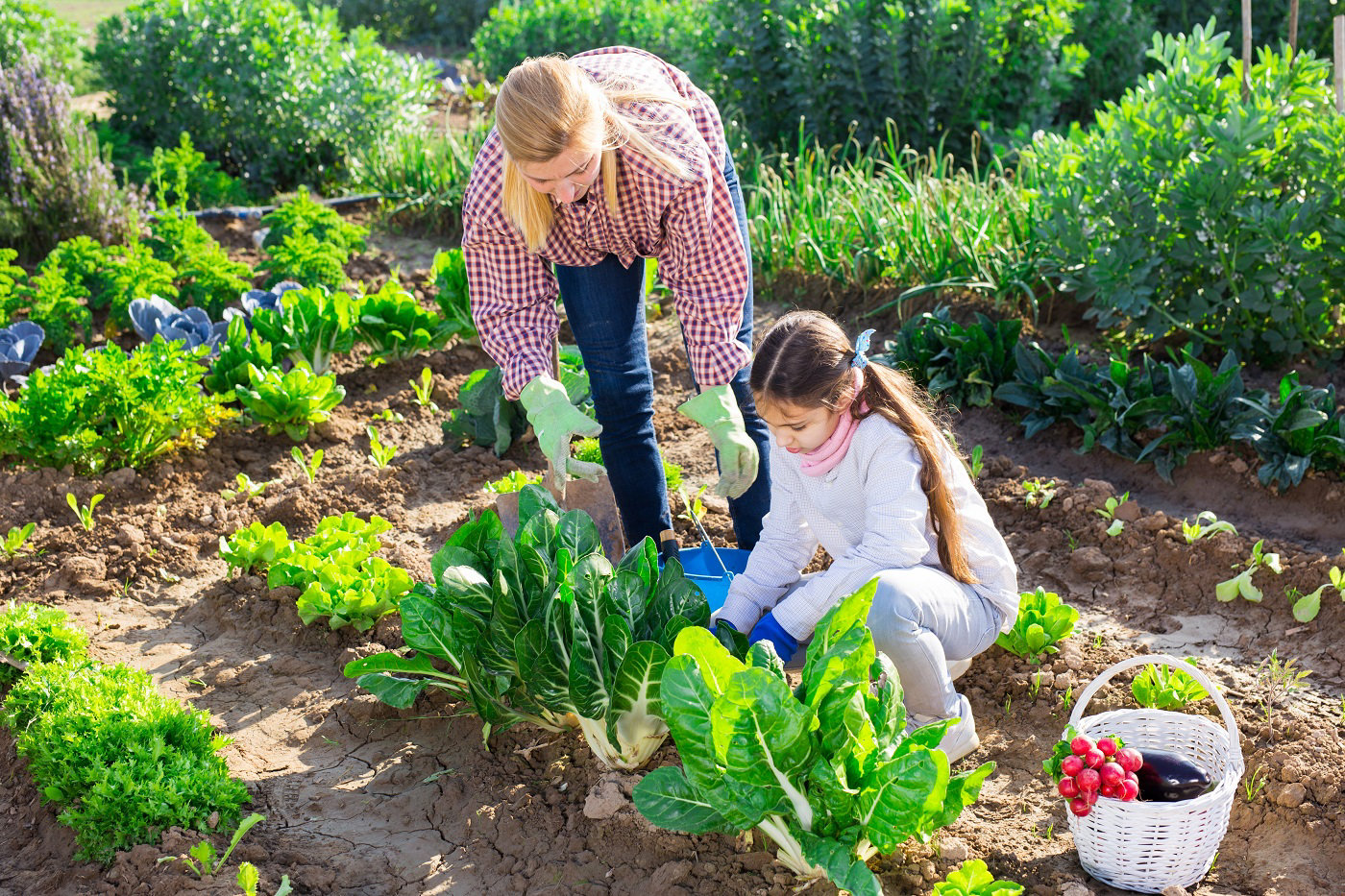 Une mère et sa fille entretiennent un potager