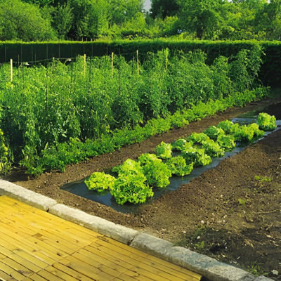 Photo d'un potager bien entretenu