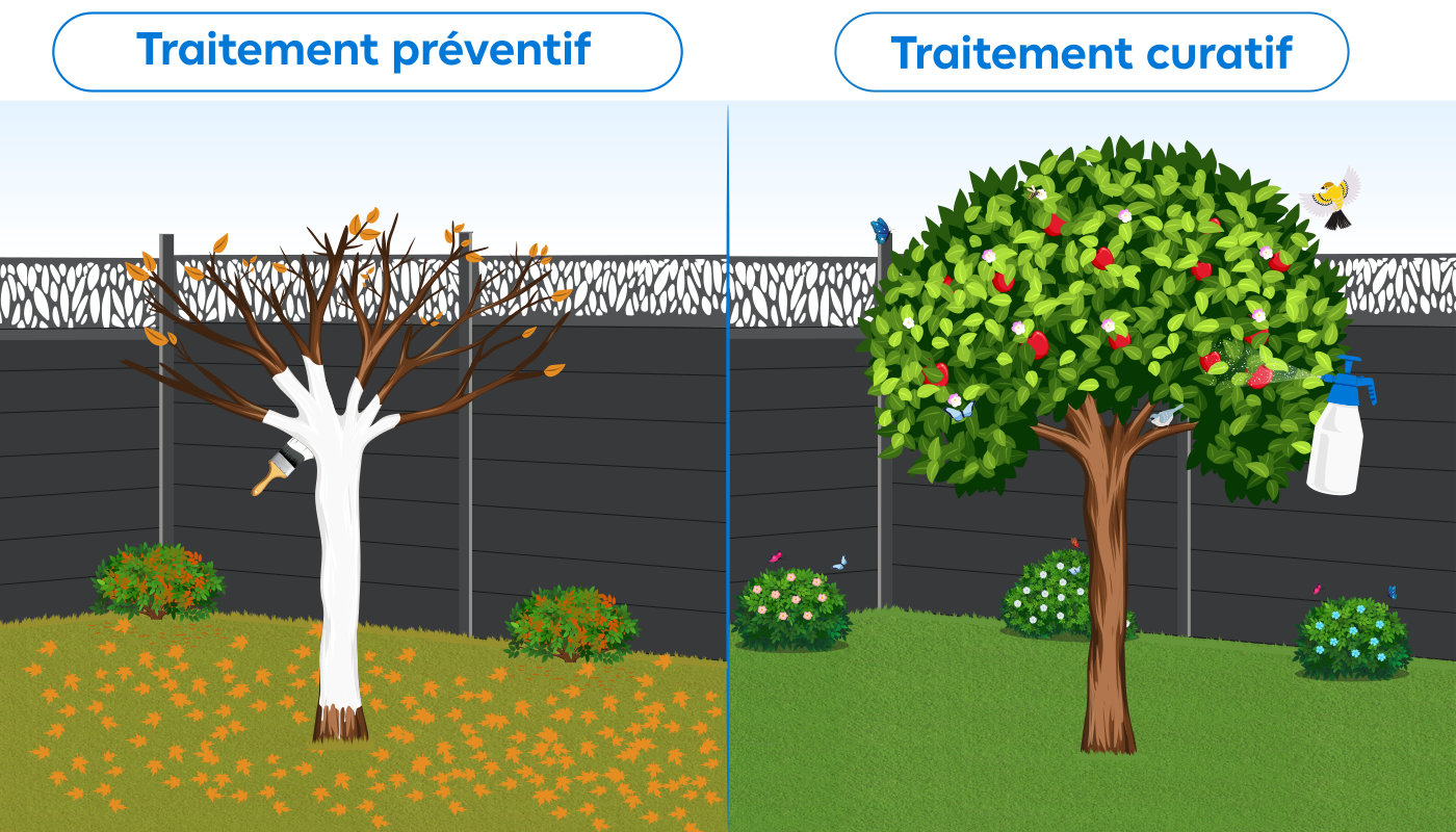 Illustration du traitement curatif et préventif