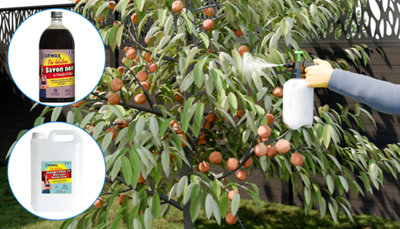 illustration d'une pulvérisation de savon noir sur un arbre fruitier