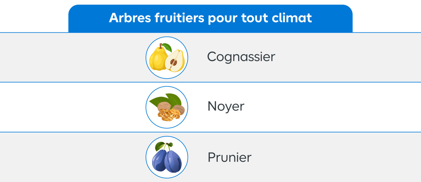 Tableau des arbres fruitiers tous climat