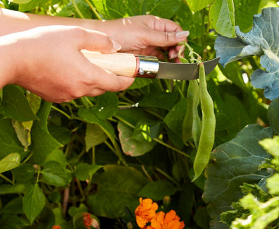 Image d'un couteau de jardin taillant une feuille