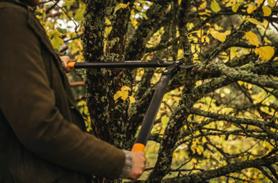 Taille d'un arbre en France en novembre avec un coupe-branches Fiskars L78 pour les travaux de jardinage.