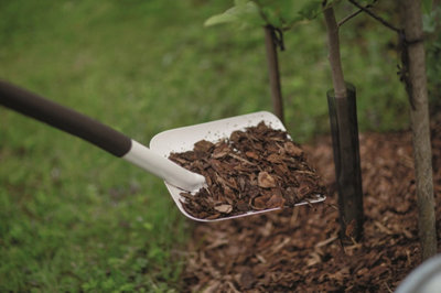 Paillez vos massifs : travaux de jardinage en novembre pour protéger les plantes du froid.