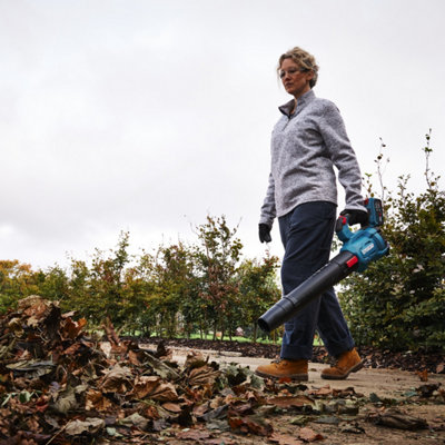 Entretien du jardin en novembre : ramassage des feuilles mortes avec un souffleur-aspirateur électrique.