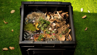 Lorsque votre foyer dispose d’un jardin paysager ou d’un jardin potager