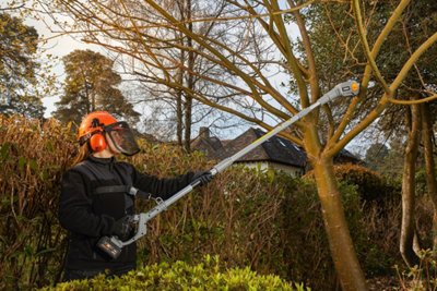 Élaguez vos arbres