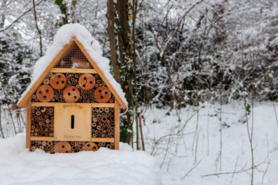 Avoir un jardin responsable tout au long de l’année est simple.