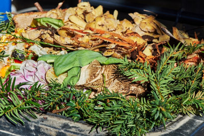 Utilisez votre sapin de Noël pour prendre soin de votre jardin