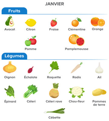 Certains légumes et certaines graines peuvent être plantés en pleine terre.