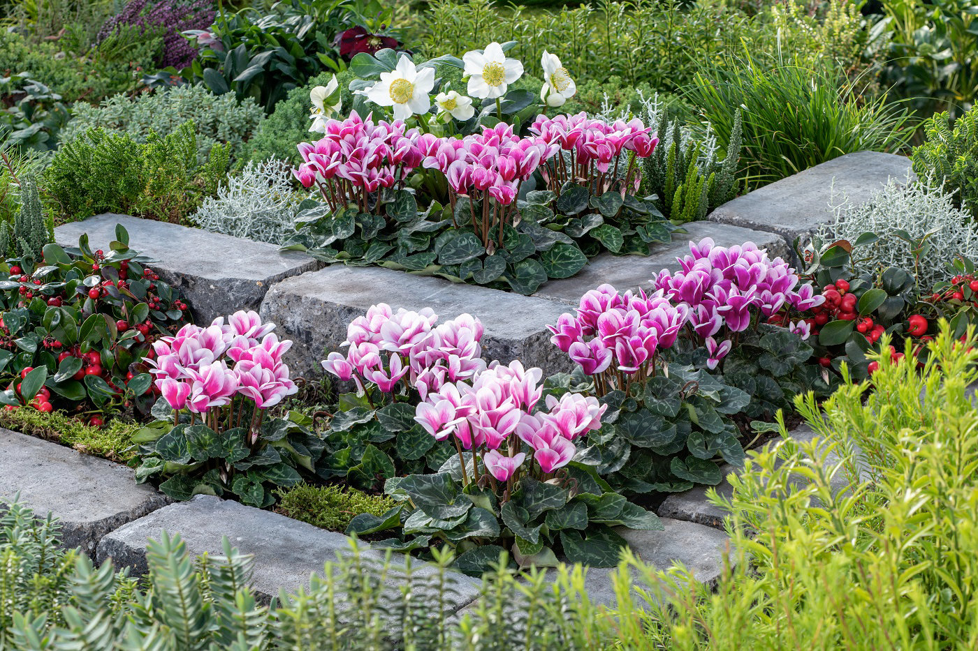 Jardiner en juin : Tout ce que vous devez faire dans votre jardin
