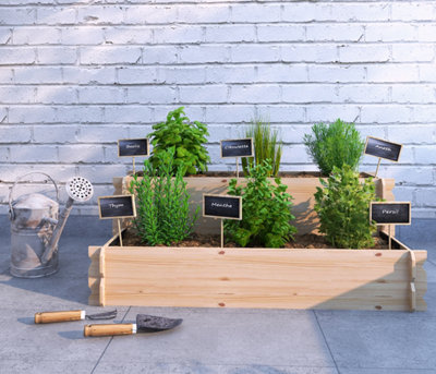 Les herbes aromatiques au mois de juin