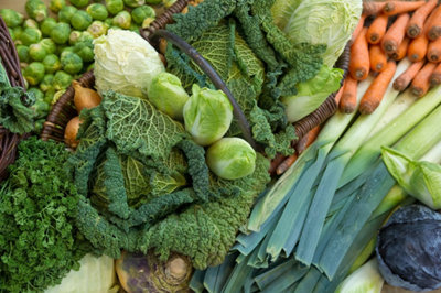 Travaux du potager en novembre : panier de récolte de légumes d'hiver frais avec choux, poireaux et carottes.