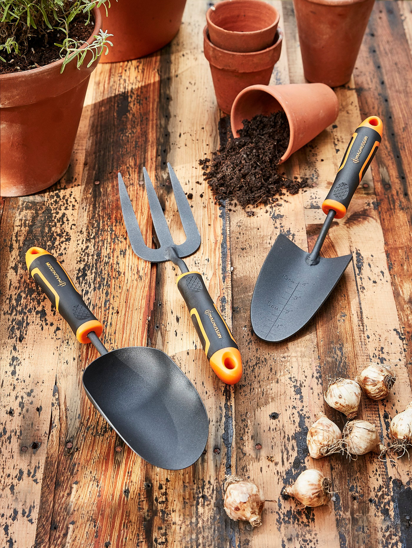 Jardiner en octobre : Tout ce que vous devez faire dans votre jardin