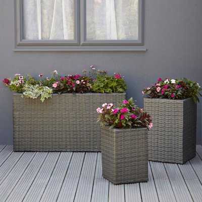 Plantez dans des pots ou des bacs
