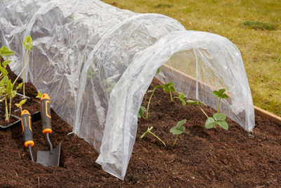 Faites pousser vos propres légumes et plantes aromatiques