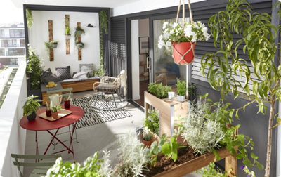 Les conditions pour réussir un potager sur un balcon ou une terrasse