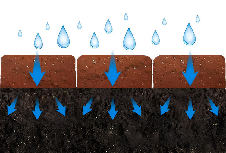 Schéma du fonctionnement des pavés drainants