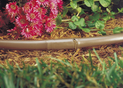 Un arrosage automatique en jet ou en goutte à goutte peut être installé à votre convenance.