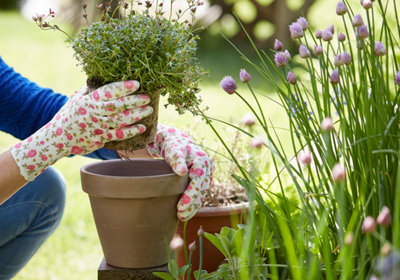 Les gants de jardinage