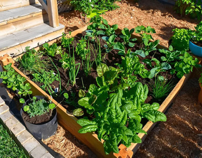 https://www.castorama.fr/idees-et-conseils/entretien-du-jardin/serre-et-potager/comment-faire-son-potager-quand-on-est-debutant