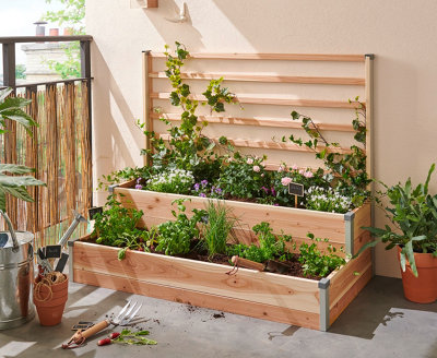 Un carré potager en escalier sur un balcon