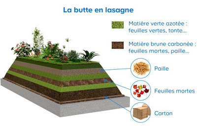 Schéma explicatif d'une butte en lasagne