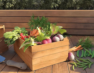 Un cageot plein de légumes du potager sur une terrasse