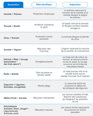 Tableau des différentes associations de légumes