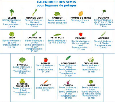 Illustration du calendrier des semis