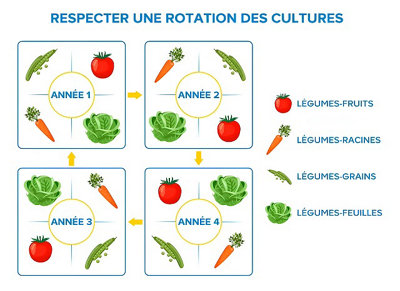 Illustration de la rotation des cultures
