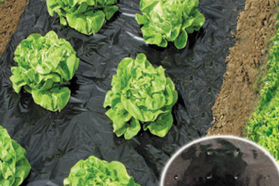 Récoltez et faites pousser vos propres légumes
