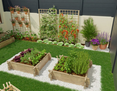 Un potager