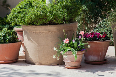 Utiliser des gros pots