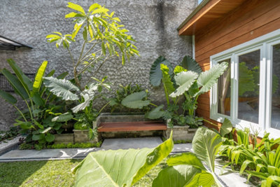 Des plantes exotiques
