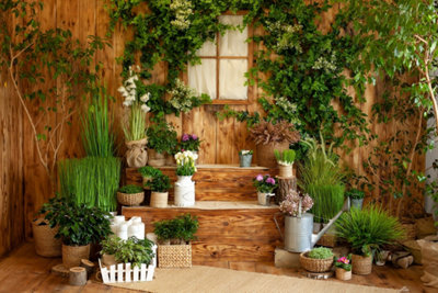 Une installation de plantes