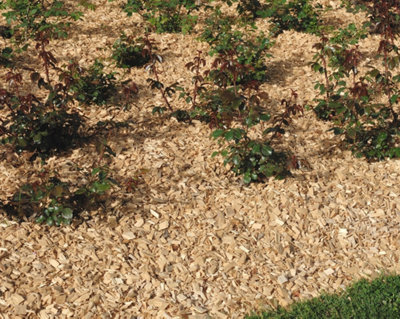 Utilisation de paillis