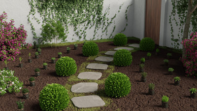 Agencez vos plantes tant qu’elles sont encore dans leurs pots